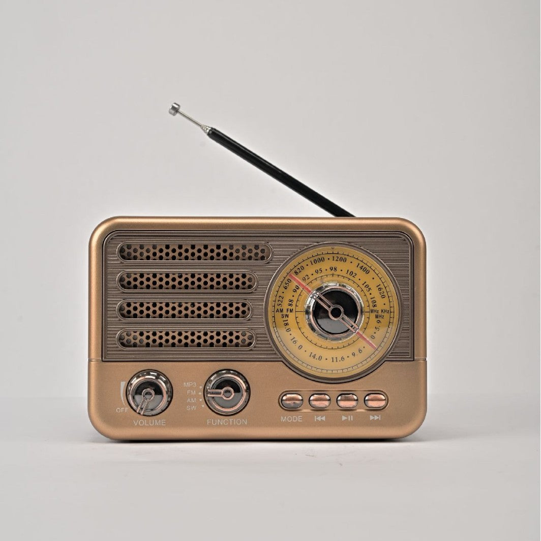 Multi-band Bluetooth radio, portable lighting, retro-style, card-insert speaker, MP3 player.